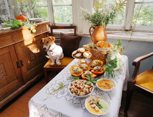 Essential Thanksgiving Food Guidelines for Pet Safety